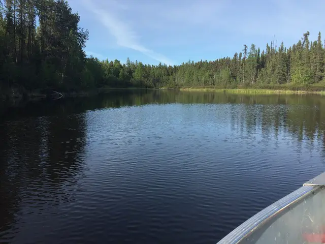 A quiet bay on Wollaston Lake